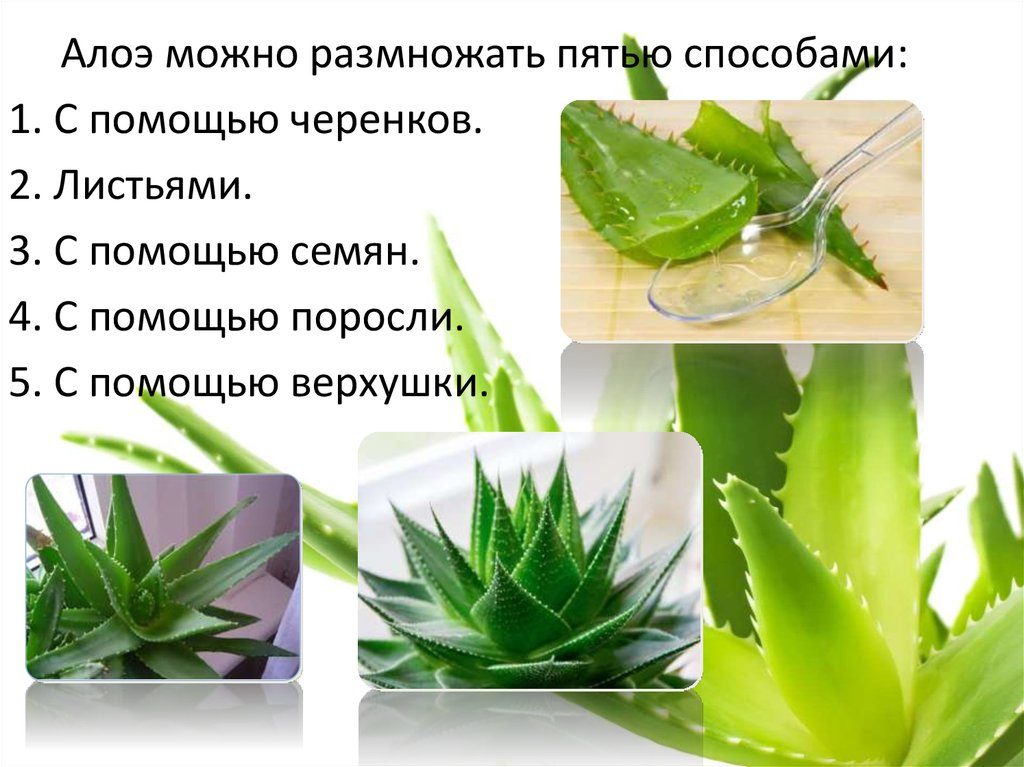 Методы