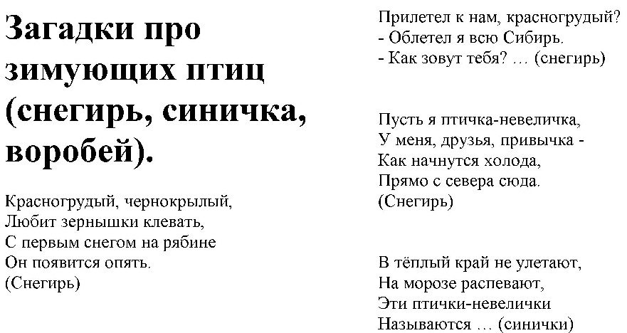 Про зимующих птиц и зверей