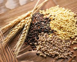Клетчатка: польза для здоровья, похудения, при запорах, в каких продуктах питания содержится. Продукты питания, овощи и фрукты, богатые грубой и растительной клетчаткой, пектинами и не содержащие клетчатки: список, таблица. Чем опасен недостаток клетчатки в питании?