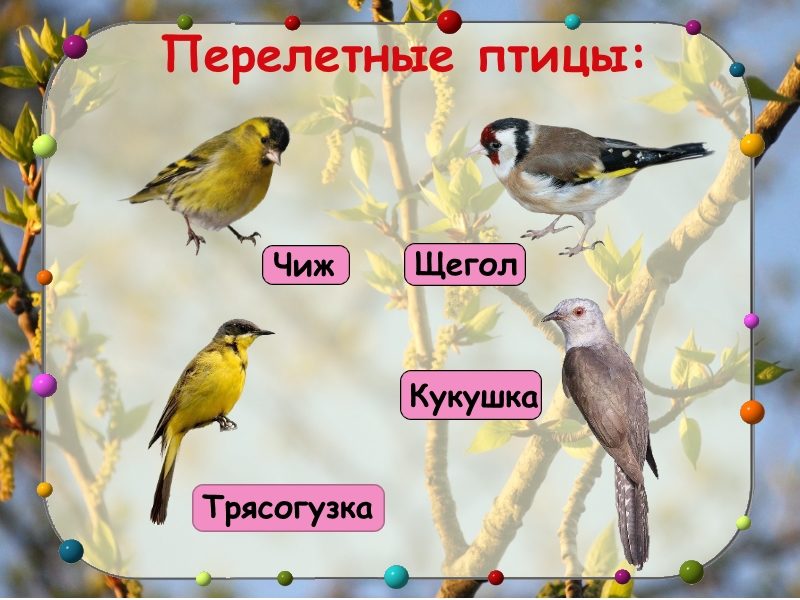 Слайд 4