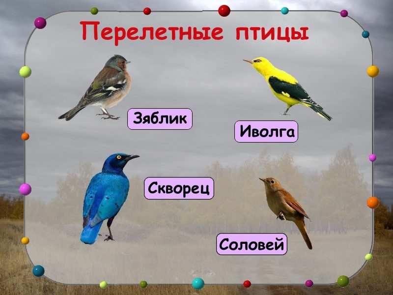 Слайд 6
