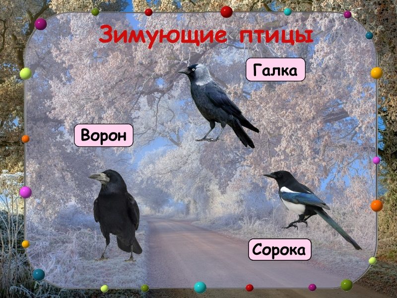 Слайд 9