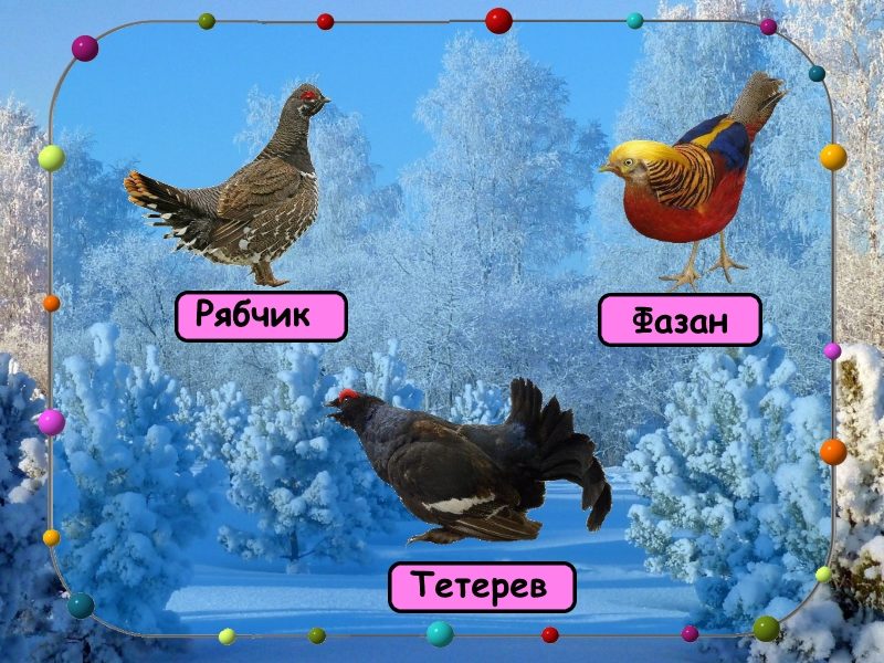 Слайд 12