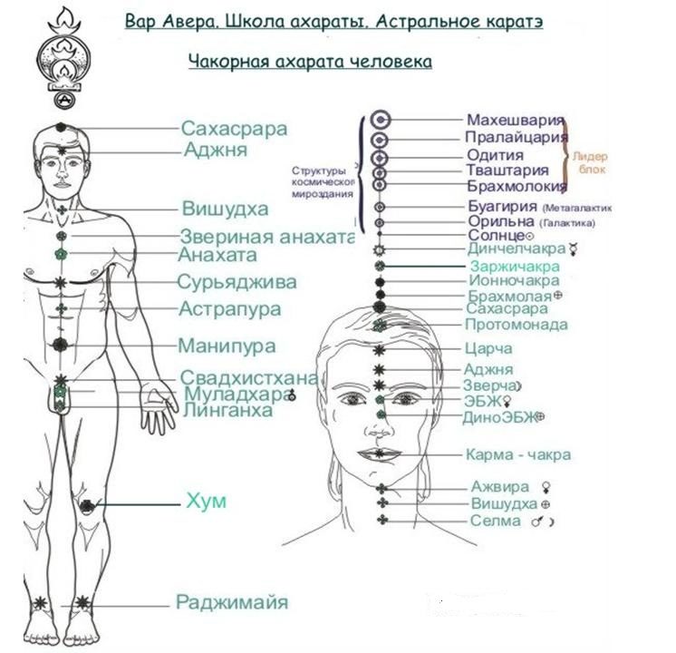 Схема человеческого тела и головы с обозначенем расположения более 30 чакр