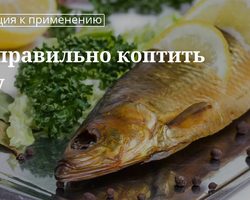 Как выбрать, подготовить рыбу для копчения, разделать, засолить перед копчением: способы. Какую древесину взять, чтобы закоптить рыбу в коптильне? Как коптить рыбу в коптильне холодным и горячим способом?