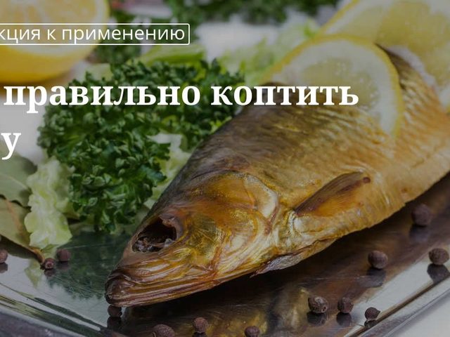 Как выбрать, подготовить рыбу для копчения, разделать, засолить перед копчением: способы. Какую древесину взять, чтобы закоптить рыбу в коптильне? Как коптить рыбу в коптильне холодным и горячим способом?