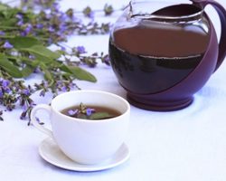 Шалфей для прекращения лактации: чай, отвар, масло — как применять?