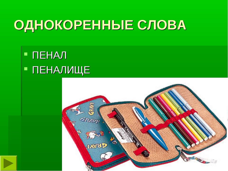 Фото пеналов и надпись с его однокоренным словом