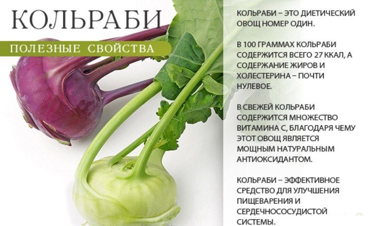Свойства овоща