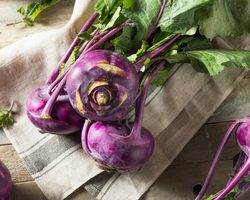 Кольраби польза и вред, лучшие рецепты приготовления блюд