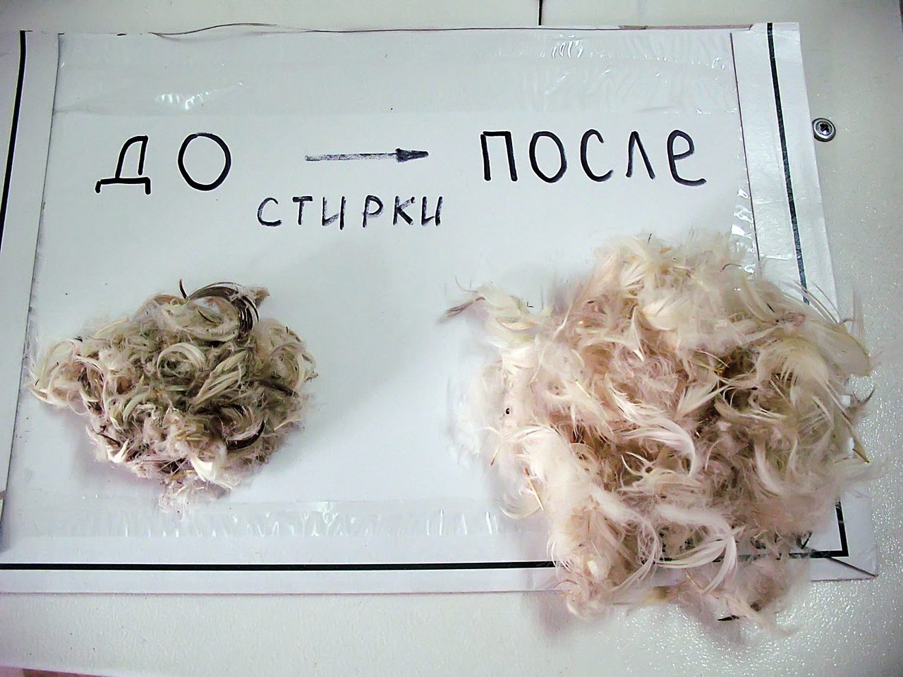 Стирка подушек из пера