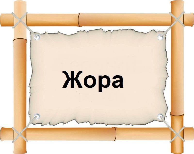 Можно ли георгия называть егором или юрием, жорой, григорием?