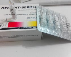 Мукосат — инструкция по применению: свойства и эффективность, показания, противопоказания, дозировка