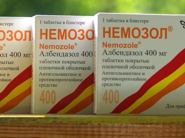 Немозол: инструкция по применению, отзывы паразитологов