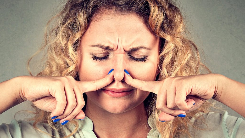 Запах сырости
