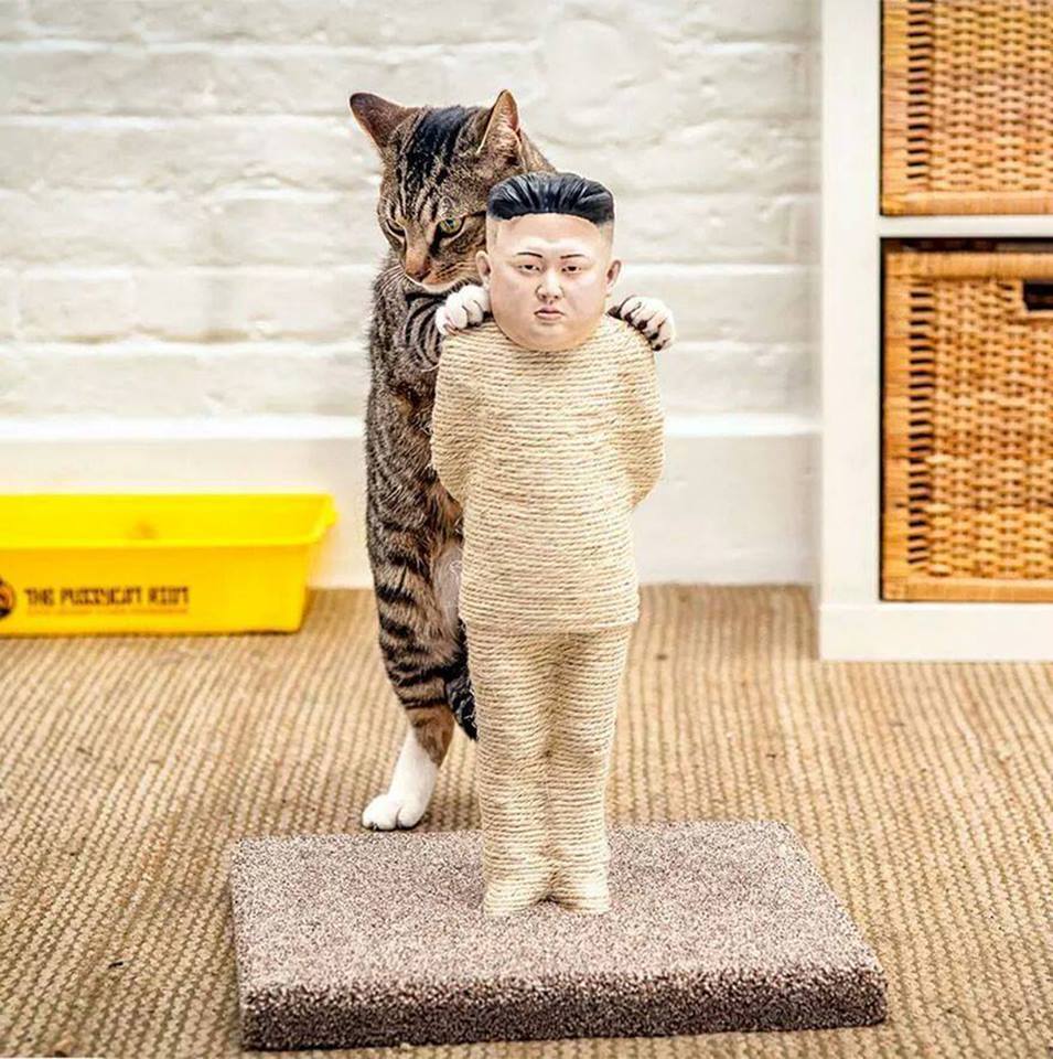 Крективная когтеточка для котов политически подкованных хозяев