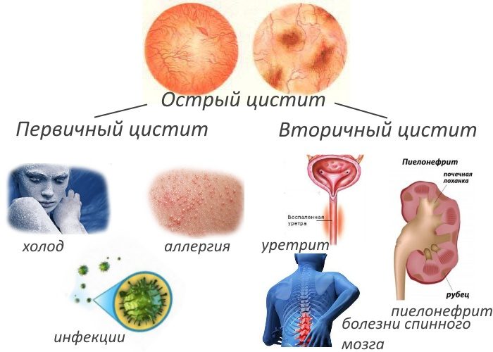 Загружено