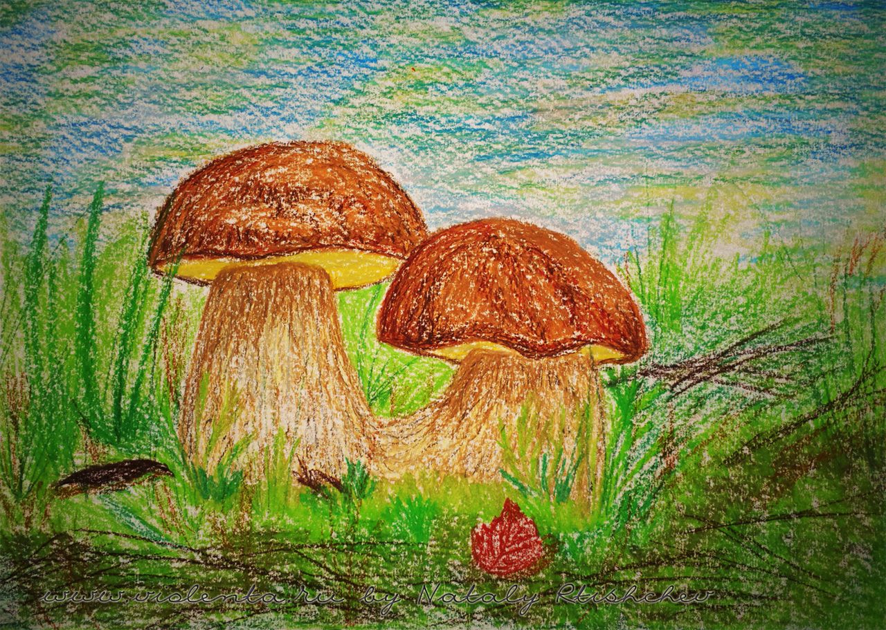 Как нарисовать белый гриб: рисунок цветными мелками