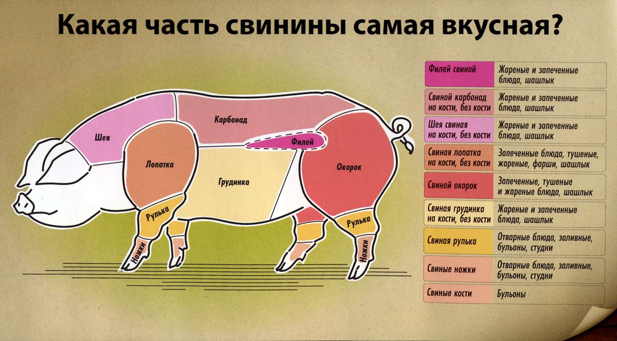Части туши