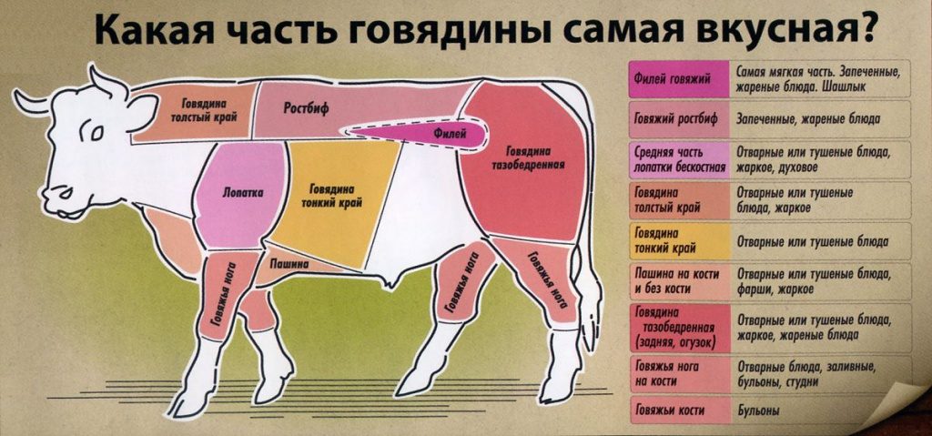 Части говядины (что взять для стейка)