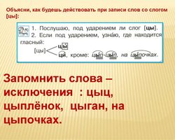 Как правильно пишется слово «цыпленок», «цыплята»? Правильное написание слова «цыпленок»: правило