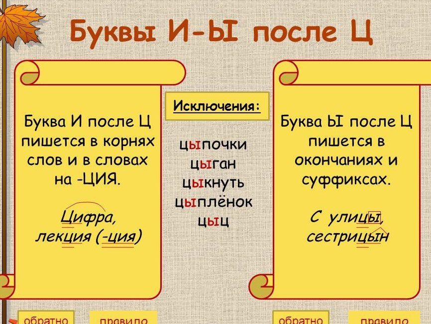 Правописание и ы после согласной ц