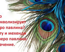 Что символизирует перо павлина? Тату и мехенди – перо павлина: значение. Можно ли дома держать, дарить, найти павлиньи перья: приметы. Как использовать павлиньи перья в интерьере, украшениях: идеи, фото