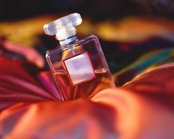 Элитные женские духи, французские, арабские для женщин: список с названиями, краткое описание ароматов. Как купить брендовые духи по распродаже в интернет-магазине Ламода и Вайлдрерриз: ссылки на каталог с ценой