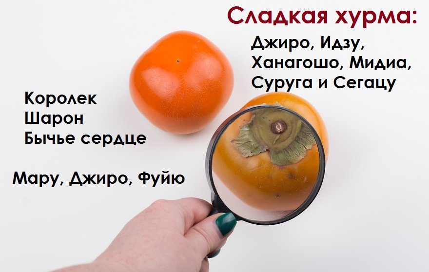 Сладкие сорта