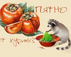 Как и чем вывести пятно от хурмы на одежде: способы, советы, моющие и народные средства