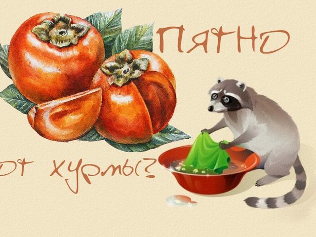 Как и чем вывести пятно от хурмы на одежде: способы, советы, моющие и народные средства