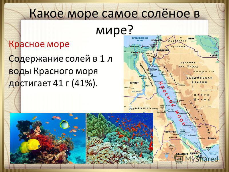Слайд о солености красного моря и его расположения на карте