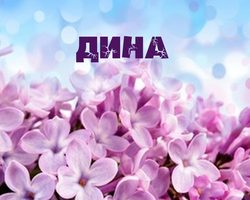 Имя Дина и Диана: происхождение имен, разные это имена или нет? Чем отличается имя Дина от Диана? Дина и Диана: как правильно называть, как написать в паспорте полное имя?