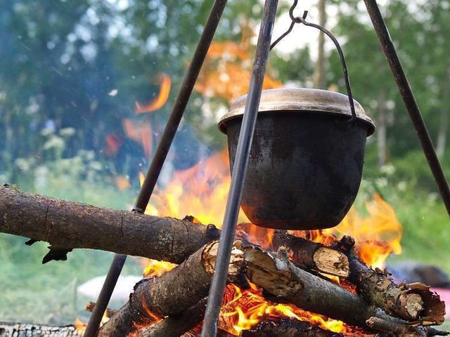 Что можно приготовить на природе: лучшие рецепты мясных и рыбных блюд на костре — свиной и грибной шашлык, ребрышки, сазан, скумбрия, картофель, уха, лагман, шурпа, морской коктейль