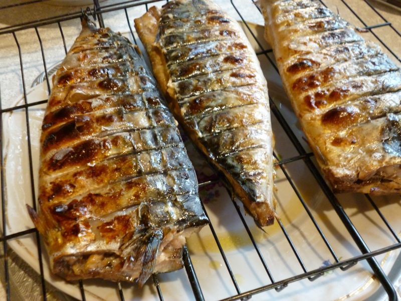 Вкусная скумбрия