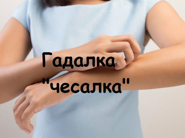 Старинная гадалка «Чесалка» по дням недели: любовные приметы. К чему чешется правая и левая грудь, бровь, щека, подмышка, сторона попы, ладонь, локоть, колено, пятка, ступня, лодыжка на правой и левой руке и ноге, нос, глаз, ухо, язык, голова, шея, плечо, живот?