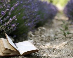 Что является объектом живой или неживой природы — океан, вода, воздух, действующий вулкан, Солнце, Луна, Земля, планета, облака, радуга, почва, ручей, река, дерево, лист дерева, пень, цветок, трава, орех? Похожие предметы живой и неживой природы: список