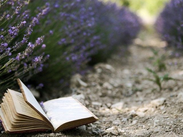 Что является объектом живой или неживой природы — океан, вода, воздух, действующий вулкан, Солнце, Луна, Земля, планета, облака, радуга, почва, ручей, река, дерево, лист дерева, пень, цветок, трава, орех? Похожие предметы живой и неживой природы: список