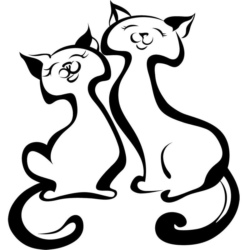 Кошечки
