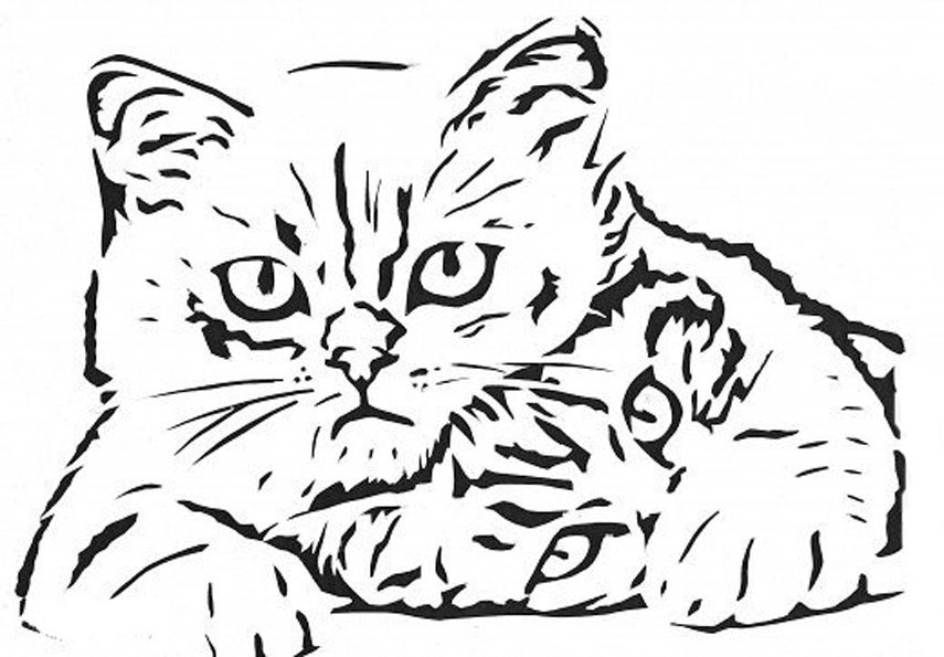 Кошечки