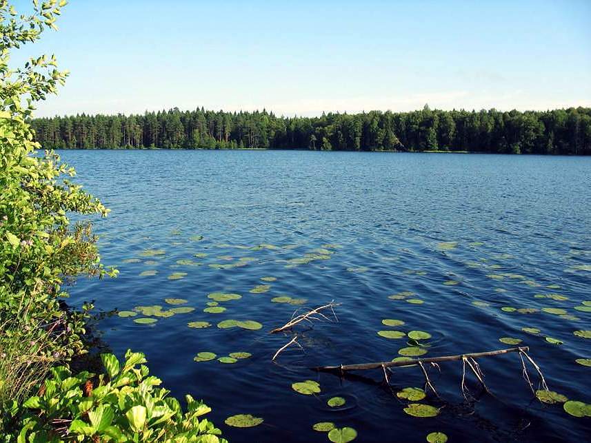 Река