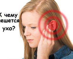 К чему чешется левое и правое ухо внутри и снаружи, мочка уха у девушки, женщины, мужчины: народные приметы по дням недели. К чему чешется левое и правое ухо внутри и снаружи, мочка уха утром и вечером, чешутся оба уха?