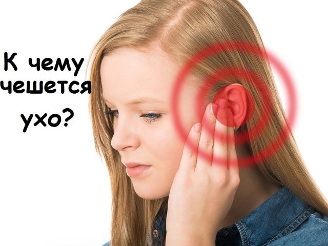 К чему чешется левое и правое ухо внутри и снаружи, мочка уха у девушки, женщины, мужчины: народные приметы по дням недели. К чему чешется левое и правое ухо внутри и снаружи, мочка уха утром и вечером, чешутся оба уха?