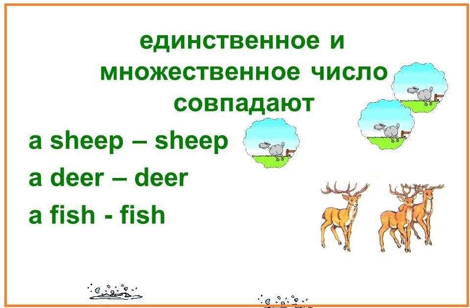 Карточка с исключениями