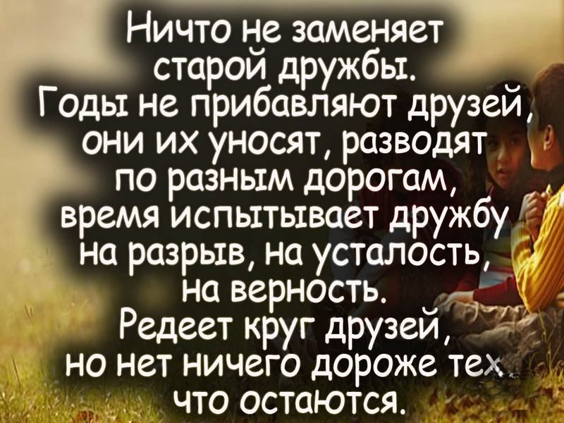 Цитаты и посты о дружбе № 4