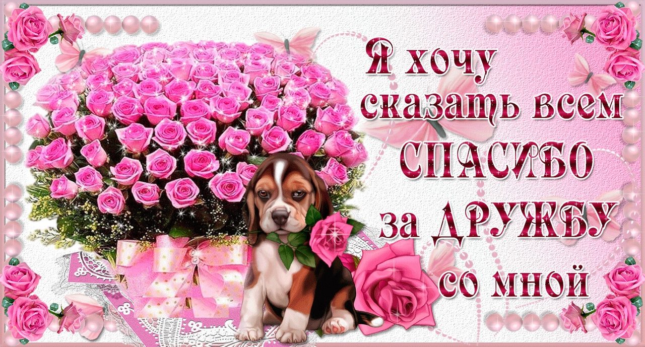 Открытка "спасибо за дружбу" № 5
