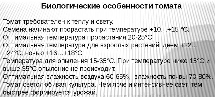 Необходимые условия для выращивания томатов