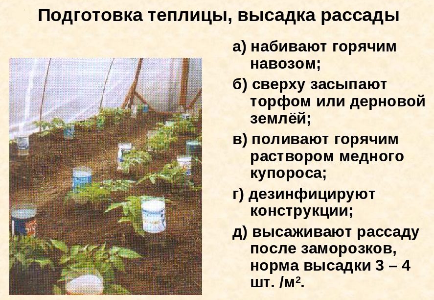 Подготовка теплицы и почвы к высадке рассады томатов