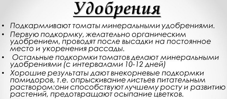 Как удобрять рассаду томатов