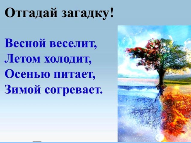 «Весной веселит, летом холодит, осенью питает, зимой согревает» – загадка с ответом и расшифровкой